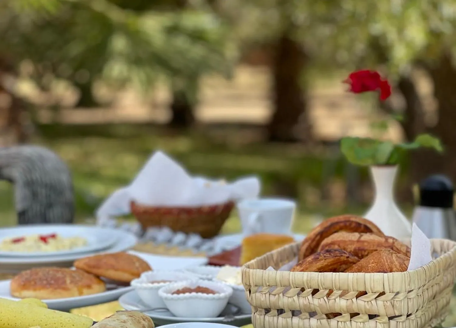 Villa Wassim Marrakesh Guest house